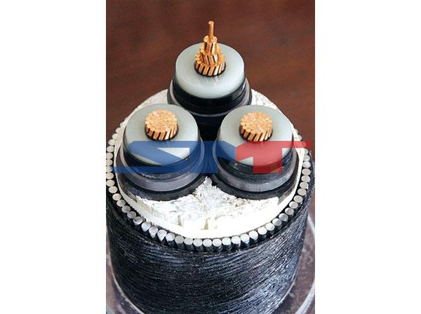 CYL��������ʽ���»�