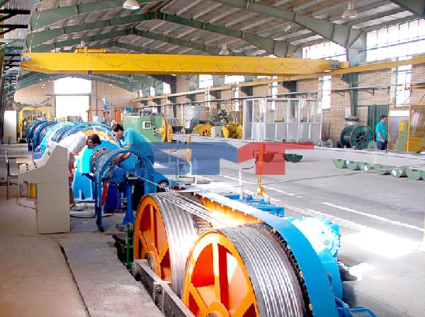 JGG���ͽ��߻� 